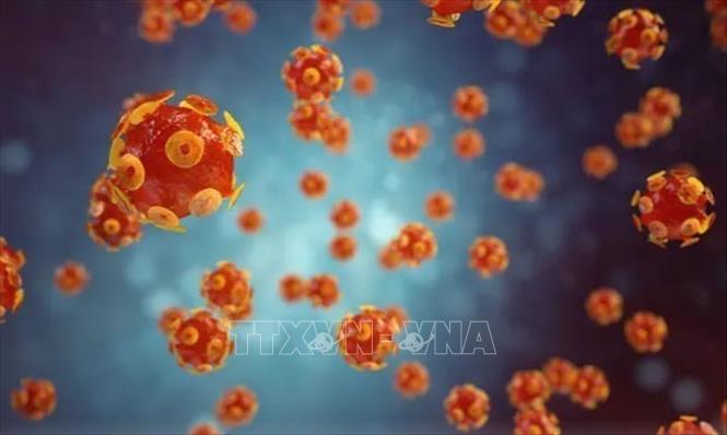 Hình ảnh mô phỏng virus gây bệnh viêm gan. Ảnh: Getty Images/TTXVN