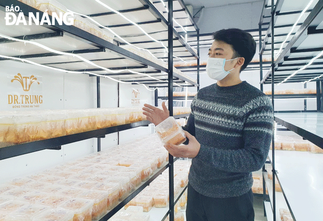 IPRs in science and technology help improve productivity and quality of products and services in businesses. IN THE PHOTO: Cordyceps dried by sublimation drying technology, a 4-star OCOP of Vinseed Biotechnology Company Limited gain consumer trust. Photo: QUYNH TRANG