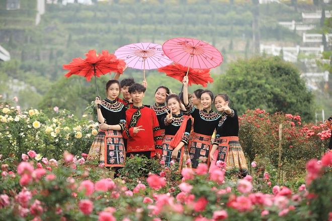 Lễ hội hoa hồng Fansipan tại Sapa.