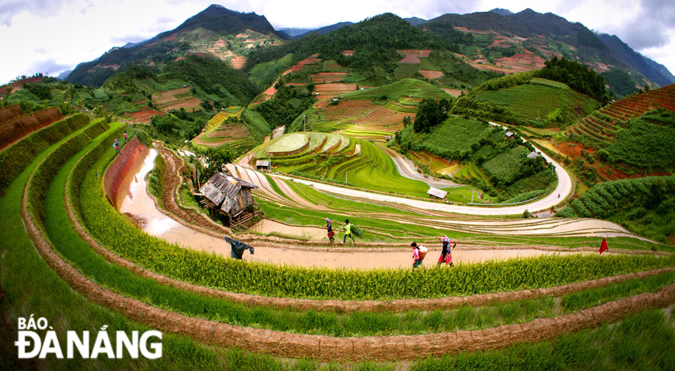 An overview of Mu Cang Chai terraced rice fields from above