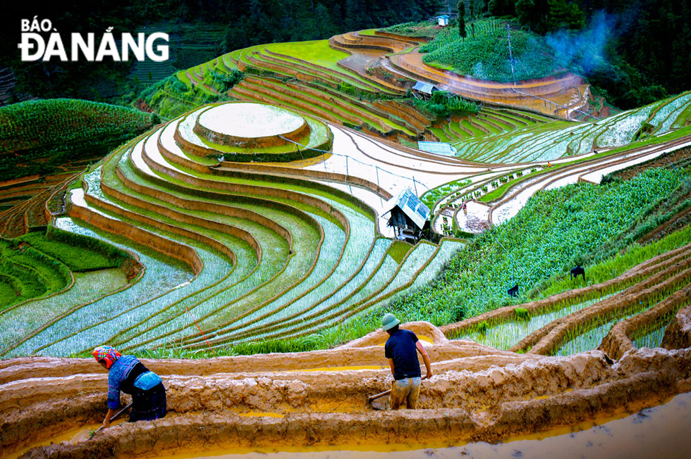  Plowing the soil on the Mam Xoi Hill