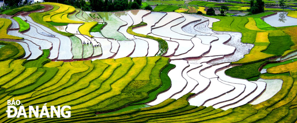 Watering season in Tu Le.