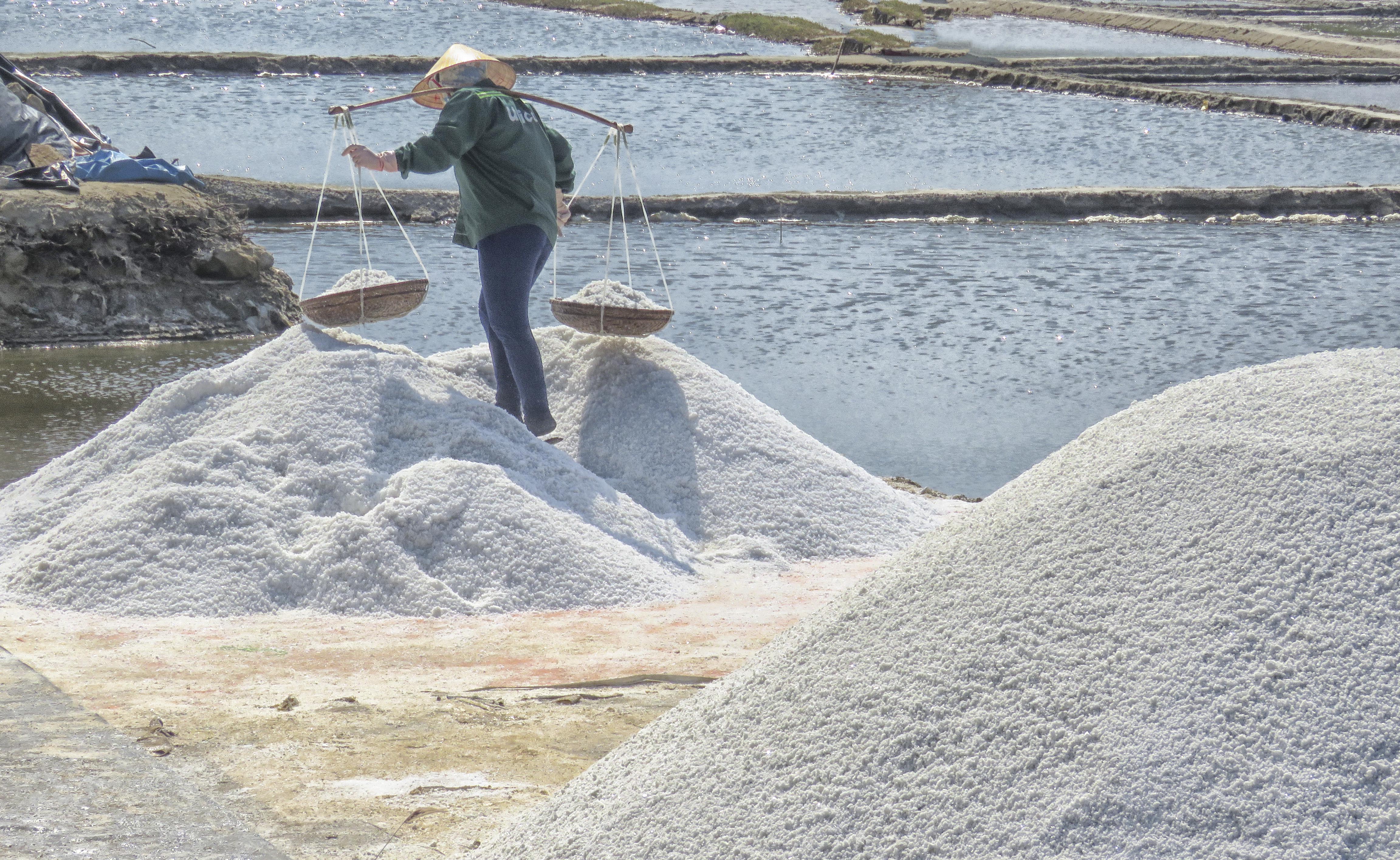 High-quality Sa Huynh salt can compete with other salt fields across the country.