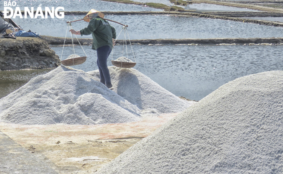 Muối Sa Huỳnh đạt chất lượng cao và cạnh tranh với các vựa muối trên cả nước.