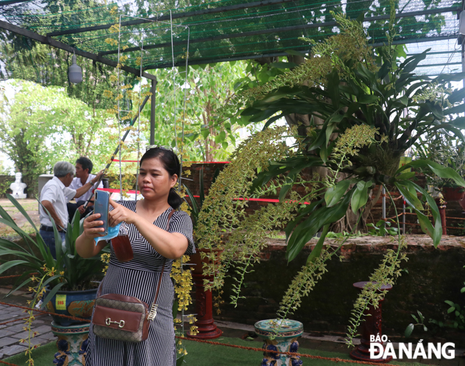 People taking check-in photos with pots of precious orchid pots from all over the country.