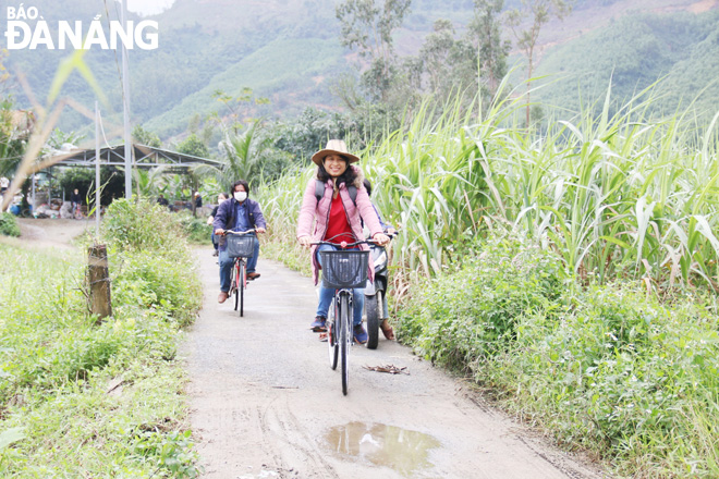 Du khách tham gia tour vòng quanh xã Hòa Bắc bằng xe đạp. Ảnh: THANH TÌNH