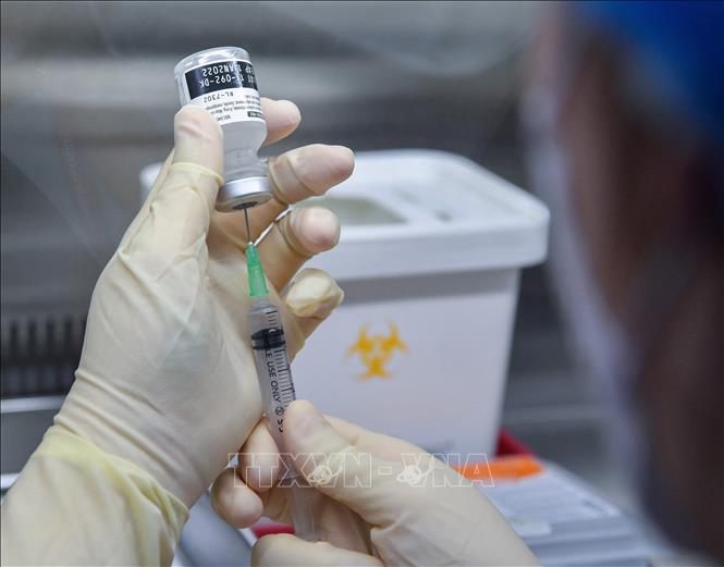 Vaccine phòng COVID-19 của hãng dược Pfizer. Ảnh: AFP/TTXVN