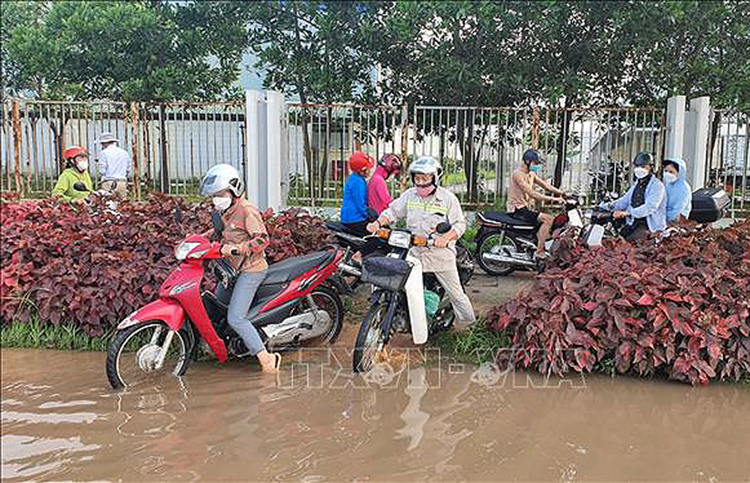 Đường giao thông huyện Bình Xuyên (Vinh Phúc) bị mưa lũ gây ngập. Ảnh:  Trọng Lịch- TTXVN