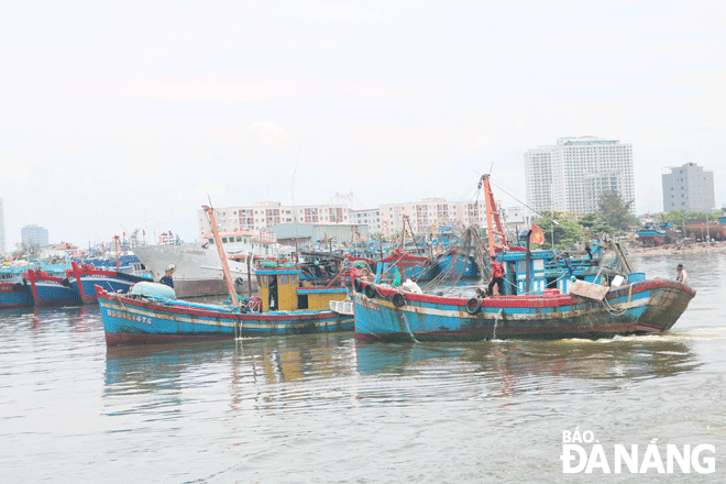 Despite petrol price hike, Da Nang fishermen have still tried to head out to sea and stick to the sea. IN PHOTO: Fishing boats leaving the Tho Quang Fishing Wharf and Port to catch seafood. Photo: VAN HOANG