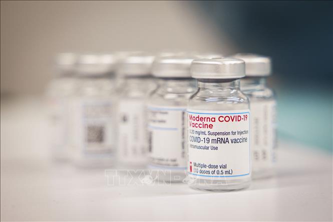 Vaccine ngừa COVID-19 của hãng dược phẩm Moderna tại một trung tâm tiêm chủng ở Lausanne, Thụy Sĩ, ngày 19/4/2021. Ảnh: AFP/TTXVN