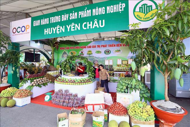 Tỉnh Sơn La đã lựa chọn hơn 220 mặt hàng nông, lâm, thủy sản của 12 huyện, thành phố tham gia trưng bày tại Festival. Ảnh: Dương GiangTTXVN