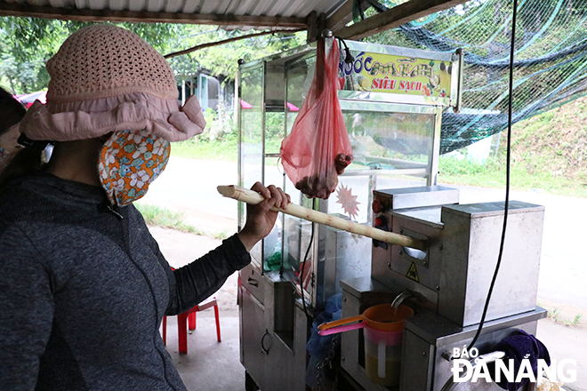 When there are customers, the new sellers start pressing sugar cane. To obtain a finished product of about 5 liters of water, the seller will squeeze from 6 to 7 long sugarcane plants.