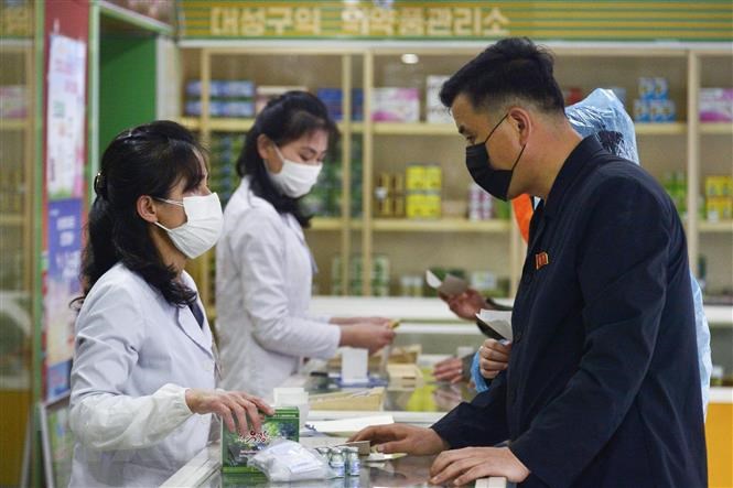 Số ca sốt ở Triều Tiên giảm mạnh