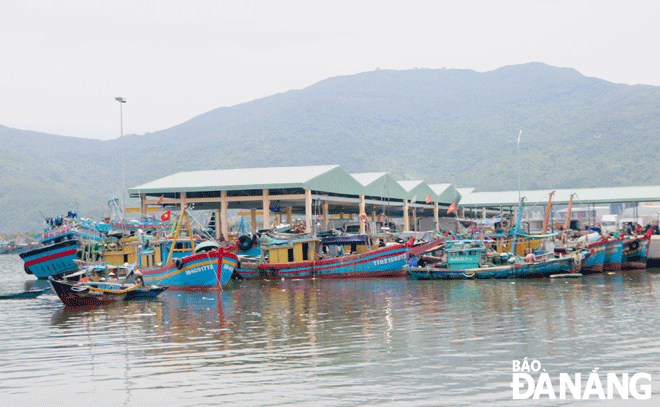 Fishing boats are about to leave the Tho Quang Fishing Wharf. Photo: VAN HOANG