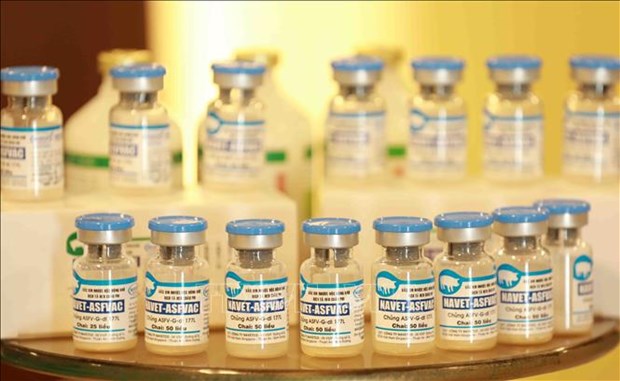 Viet Nam's NAVET-ASFVAC vaccine (Photo: VNA)