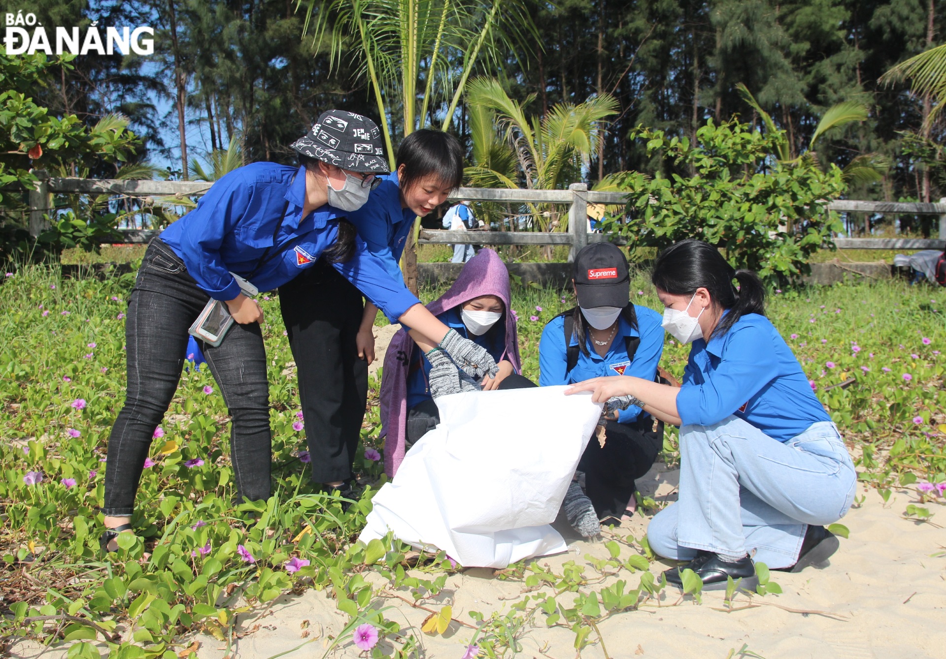 Youth Union members and young people in Da Nang came out to clean up the environment on the Nguyen Tat Thanh Beach. Photo: Ngoc Quoc