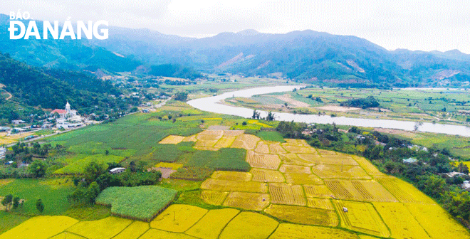 Khu vực xã Hòa Bắc, huyện Hòa Vang có tiềm năng lớn về du lịch sinh thái, du lịch cộng đồng và du lịch nông nghiệp. Ảnh: XUÂN SƠN