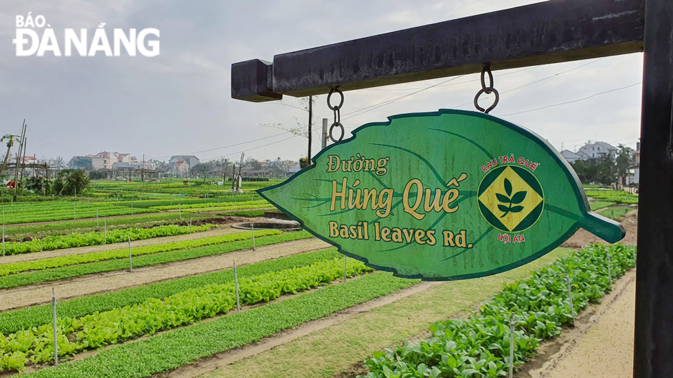 Hung Que Street in the vegetable village.