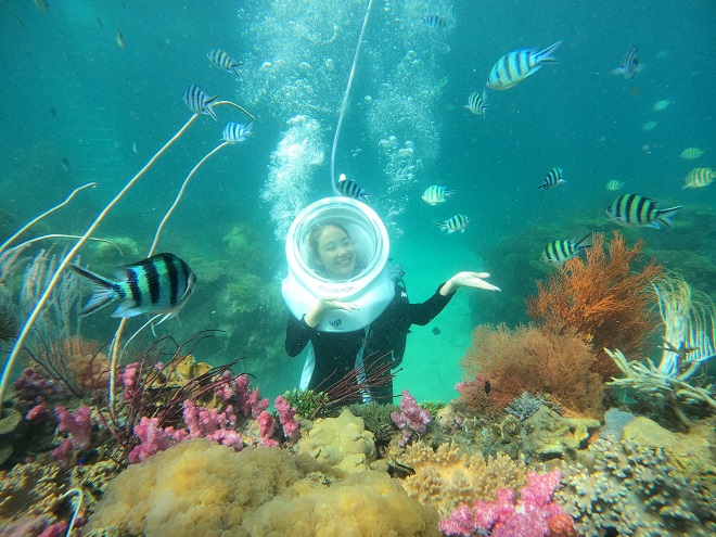 Đi bộ dưới biển ngắm san hô tại Hòn Thơm.
