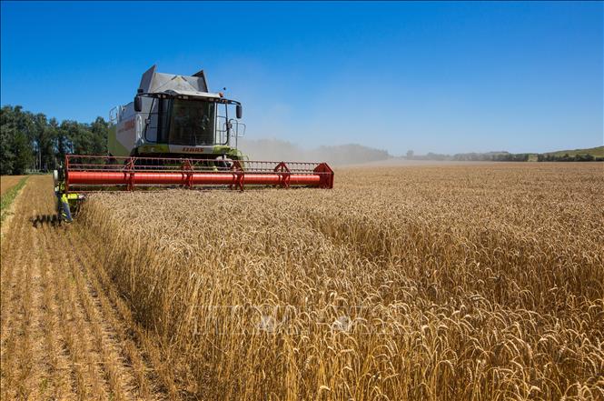Nga và Ukraine ký thoả thuận xuất khẩu ngũ cốc vào ngày 22-7