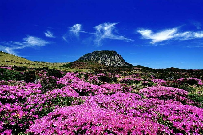 Kinh nghiệm du lịch đảo Jeju cùng Traveloka