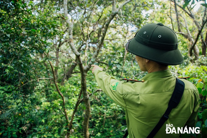  Forest rangers determining the direction to go to places where wilflife traps are set to remove. Photo: CHANH LAM