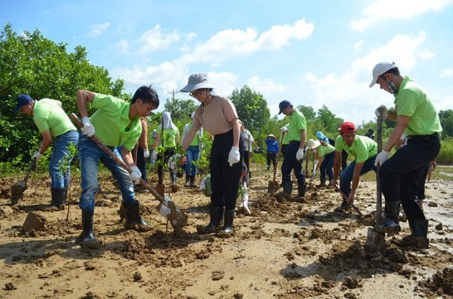 Liên hoan phim Môi trường toàn quốc lần thứ 8: Giới thiệu các sáng kiến, giải pháp hiệu quả, mô hình, gương điển hình tiên tiến trong phong trào bảo vệ môi trường...