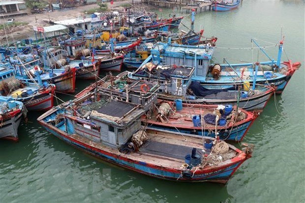 Fishing boats in Da Nang (Photo: VNA)