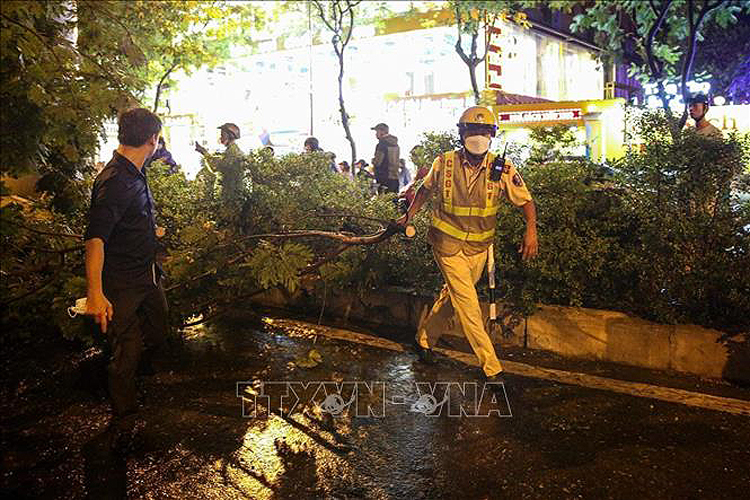 Mưa dông khiến cây bị gãy đổ ở đường Xuân Thuỷ, Dịch Vọng Hậu, quận Cầu Giấy (Hà Nội) chiều  ngày 30/7. Ảnh: TTXVN.