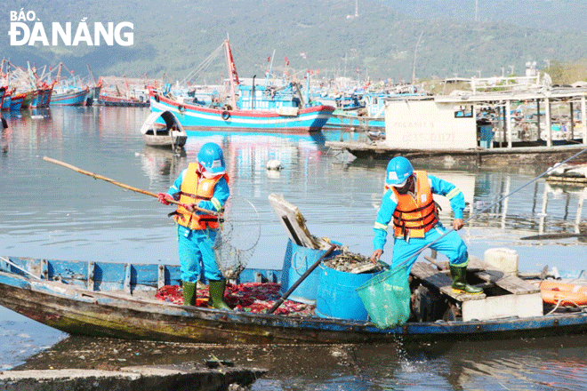 Tiếp tục cải thiện môi trường tại âu thuyền Thọ Quang