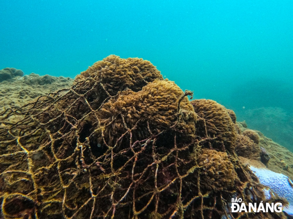 Thu gom rác thải dưới đáy biển