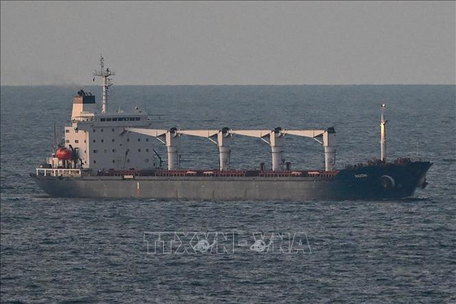 Tàu Razoni chở ngũ cốc của Ukraine di chuyển trên vùng biển phía Tây Bắc Istanbul, Thổ Nhĩ Kỳ ngày 2/8/2022. Ảnh: AFP/TTXVN