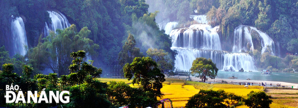 The beautiful and poetic Ban Gioc waterfall in the ripe rice season