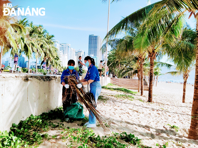 Các tình nguyện viên dọn rác tại bãi biển Phạm Văn Đồng (quận Sơn Trà).  Ảnh: NHẬT HẠ