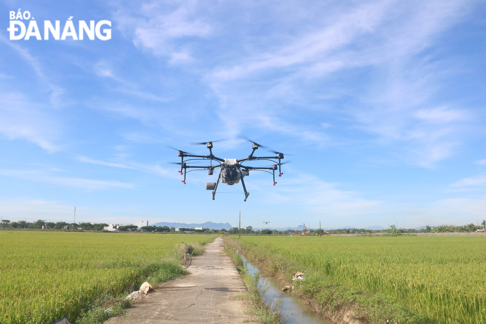 Thiết bị bay không người lái của Công ty CP Nicotex Đà Nẵng được trình diễn trên cánh đồng thôn Tây An, xã Hòa Châu trong sáng 16-8. Ảnh: VĂN HOÀNG