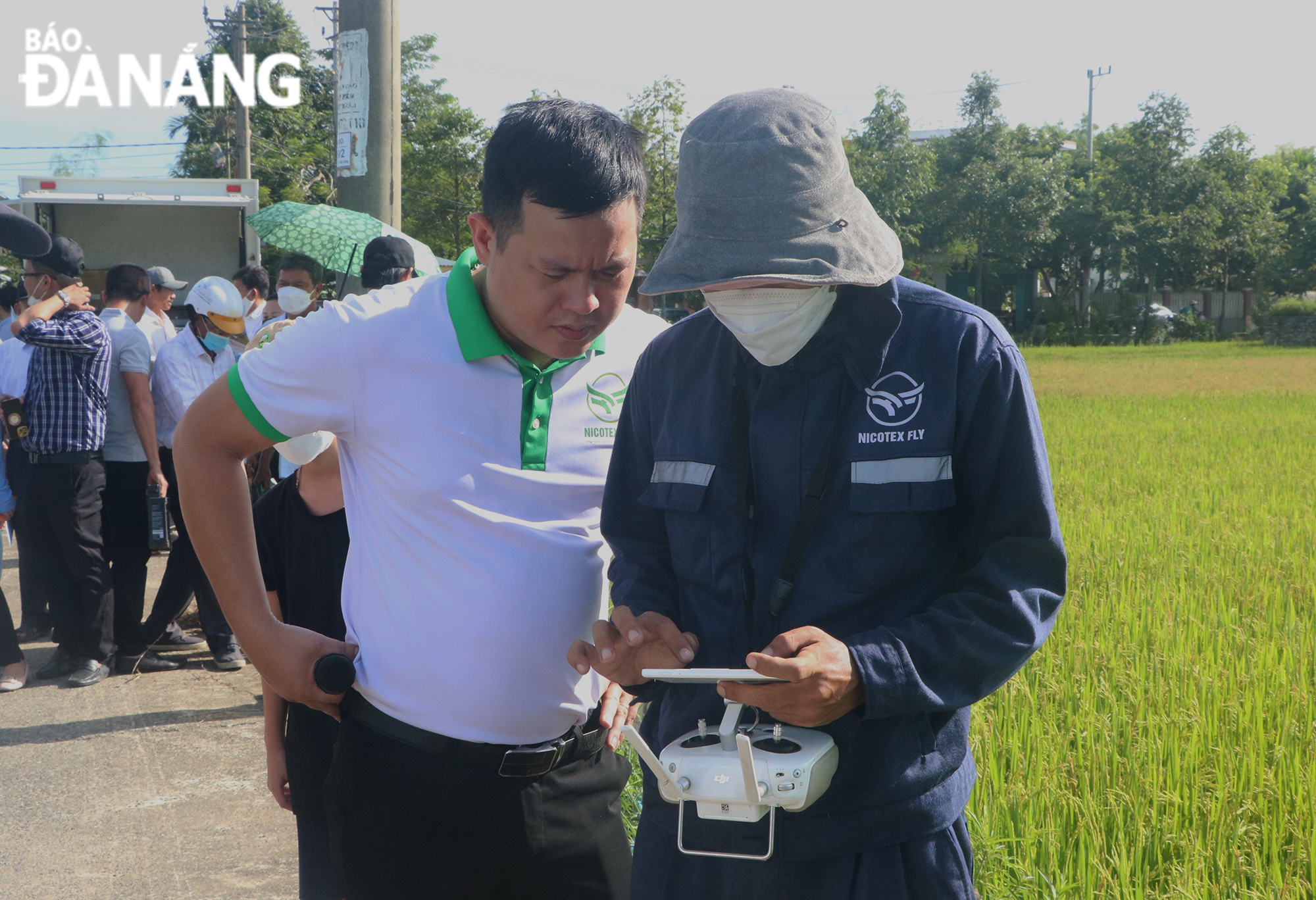 Technicians of the Nicotex Da Nang JSC are monitoring the crop-spraying drone through smart control device. Photo: VAN HOANG