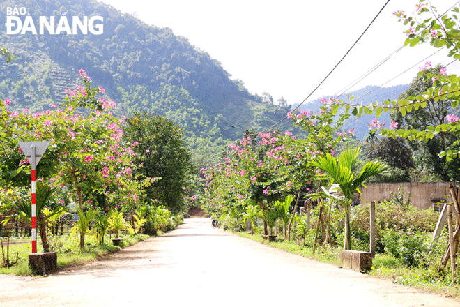 Tuyến đường nông thôn Hòa Vang phủ đầy hoa và cây xanh.  Ảnh: THANH TÌNH
