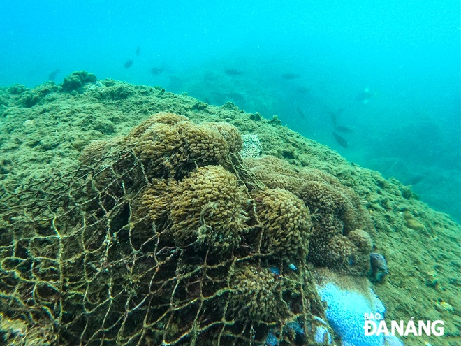 Coral reefs on the Man Thai seabed are covered with pieces of fishing nets, plastic, and beer cans.