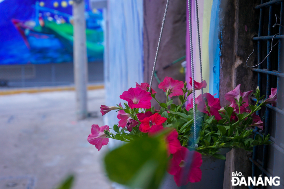 n some alleys, people also decorate hanging flowers to create accents. Photo: X.D