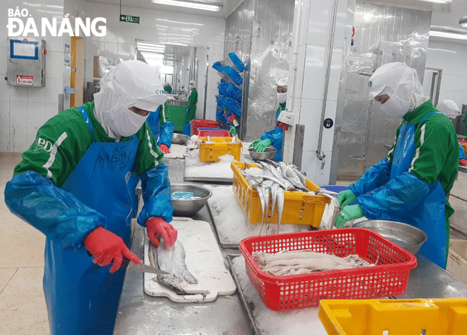 Công nhân làm việc tại Công ty Cổ phần Xuất nhập khẩu thủy sản miền Trung. Ảnh: KHÁNH HÒA