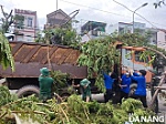 Toàn thành phố đồng loạt ra quân tổng dọn vệ sinh môi trường sau bão