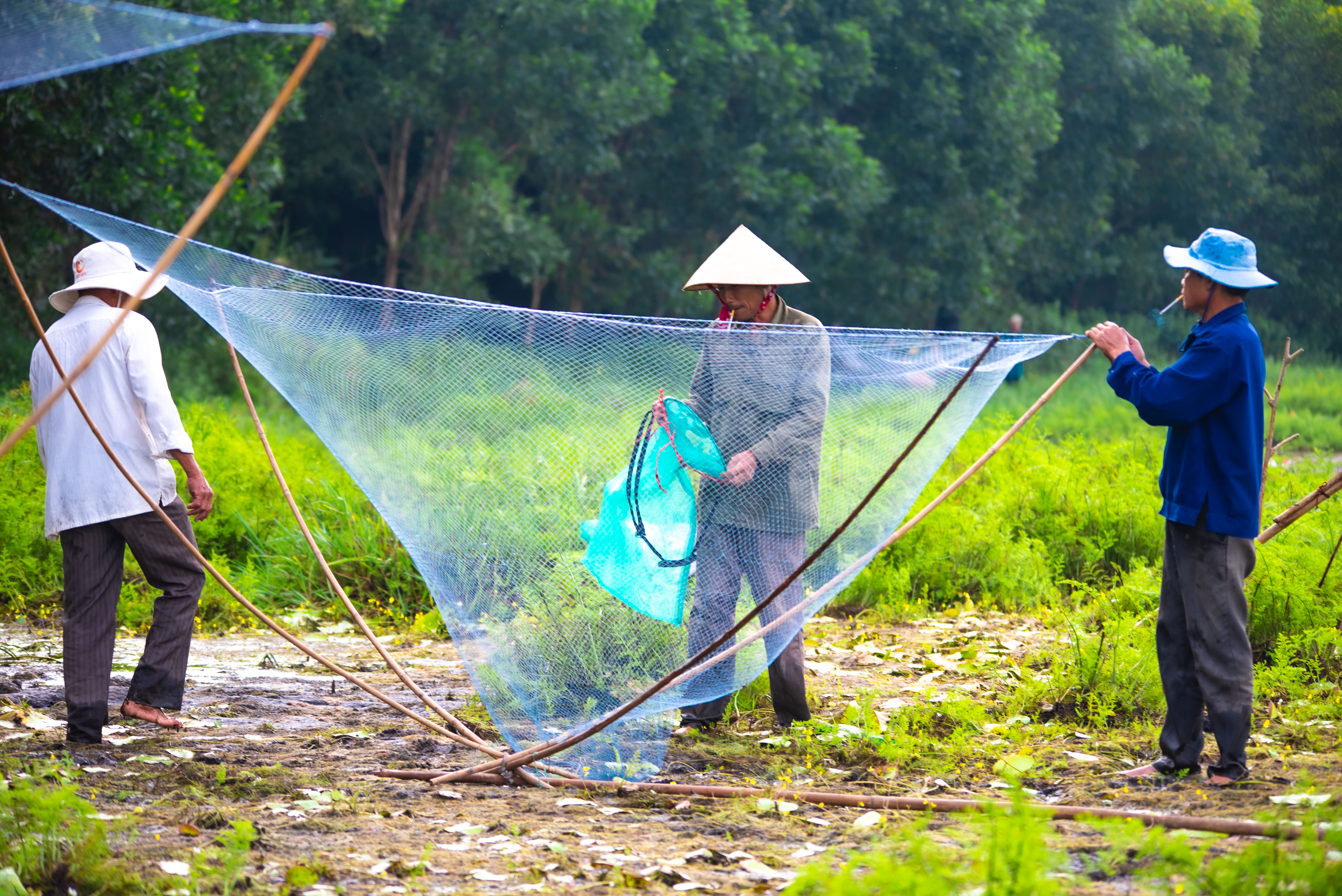Farmers are seen preparing fishing tools to catch fish after the signal of 3 drums.