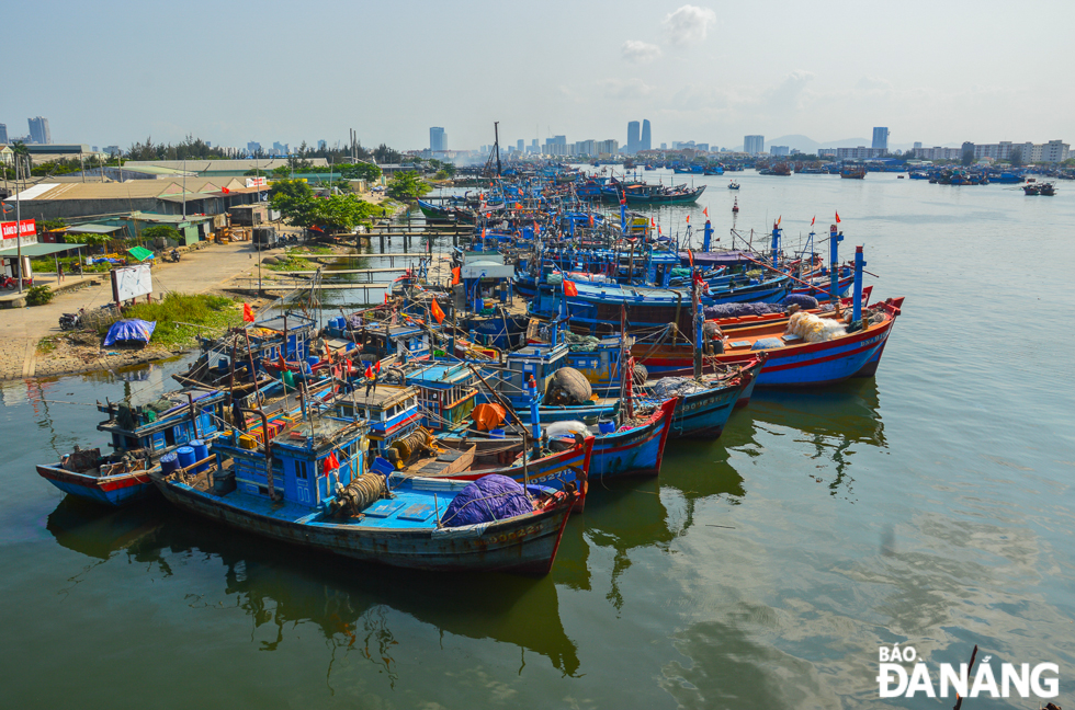  Under the conclusion issued by the Standing Committee of the Da Nang Party Committee on the construction and development of Son Tra District to 2030 and the following years, agriculture-forestry-fishery is one of the district's prioritised economic sectors. In the photo: A corner of the Tho Quang Fishing Port.