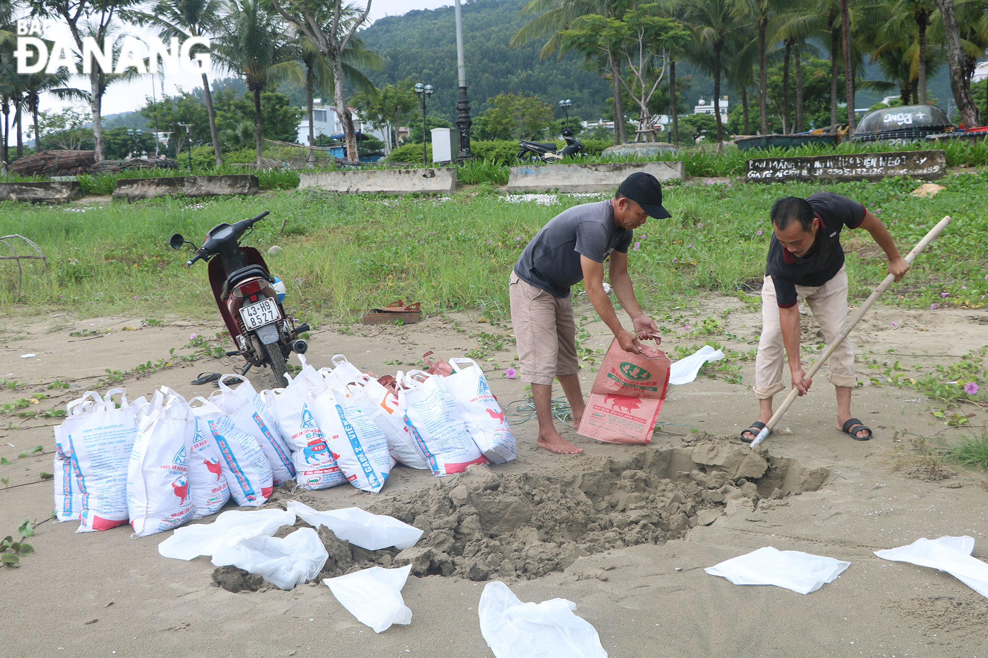 People were seen shoveling sand from the beach along the Hoang Sa route to reinforce their houses on Monday morning. Photo: VAN HOANG.