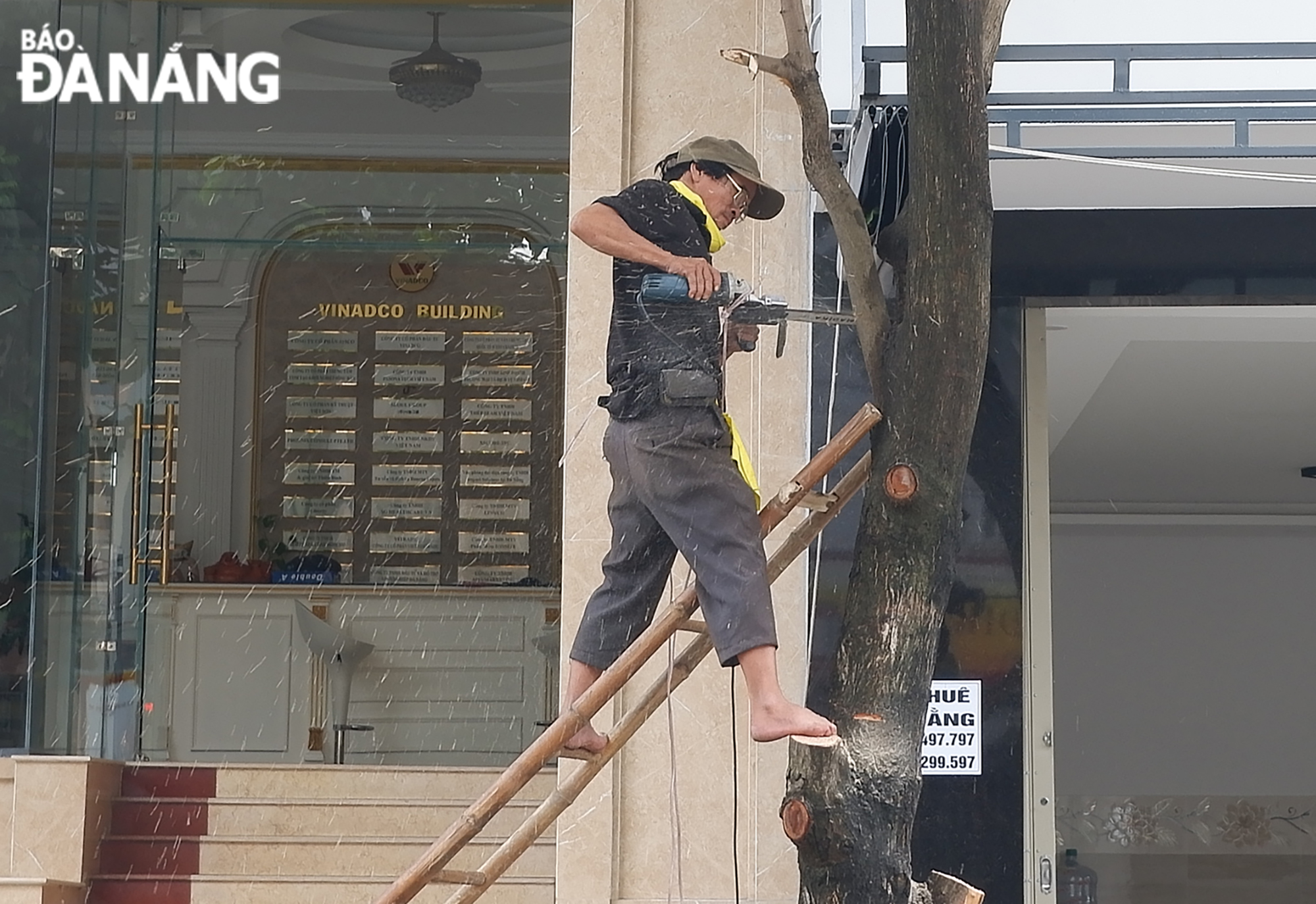 A man pruning trees in front of his houses on Ho Quy Ly Street in Thanh Khe District. Photo: MAI QUE