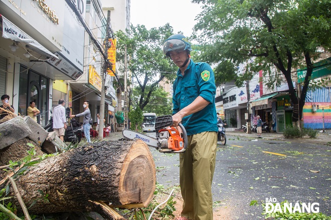 Lực lượng chức năng phường Phước Ninh (quận Hải Châu) tiến hành cưa những cây gãy đổ.