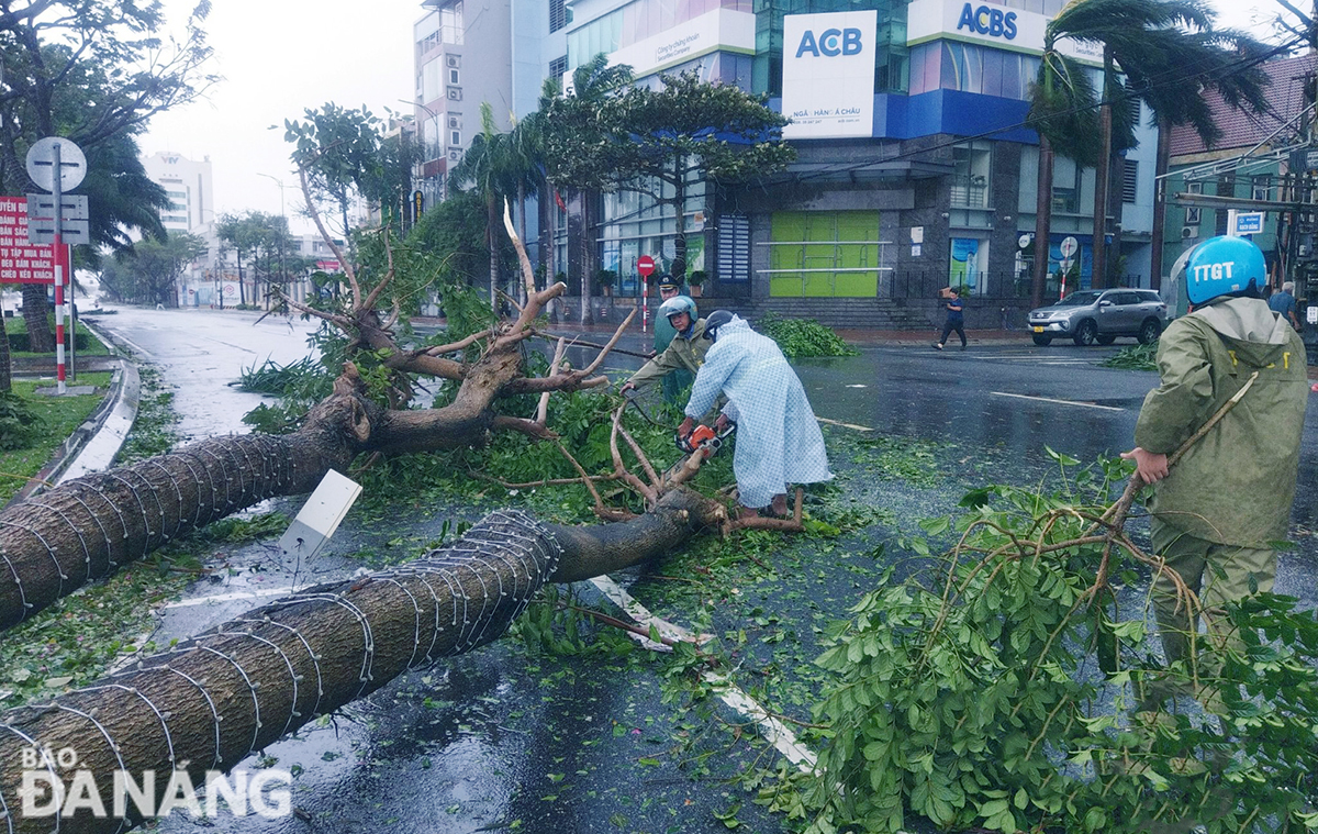 The cleanup of fallen trees on Bach Dang Street. Photo: THANH LAN