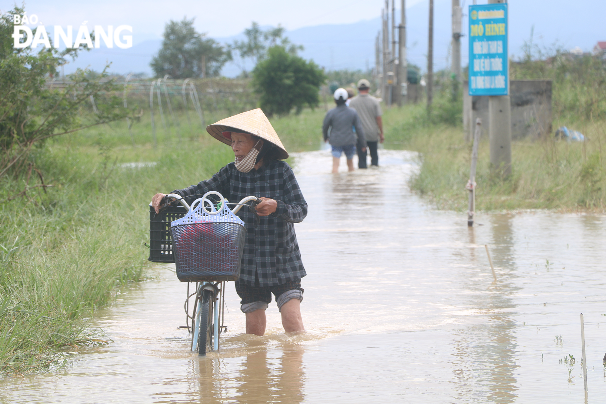 Nông dân lội nước vào vùng sản xuất rau an toàn La Hường, phường Hòa Thọ Đông, quận Cẩm Lệ. Ảnh: VĂN HOÀNG