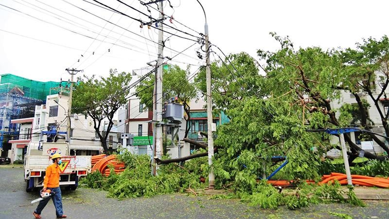 Da Nang Power Company staff clean up trees to repair transformers for resuming electricity supplies. Photo: NDO 