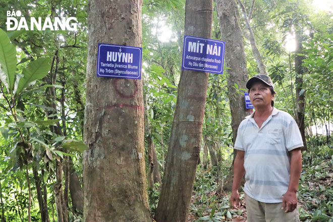 Mr Tran Kim Hung stands next to the famous carpentry that has been attached with tracking plates. Photo: NHU HANH